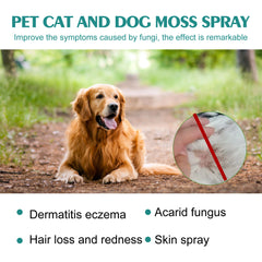 Pet Skin Medicine Spray For Cats And Dogs Universal Mite Skin Itchy Red Hair Itching