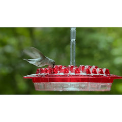 Hanging Red Hexagonal Hummingbird Feeder With Hook