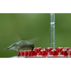 Hanging Red Hexagonal Hummingbird Feeder With Hook