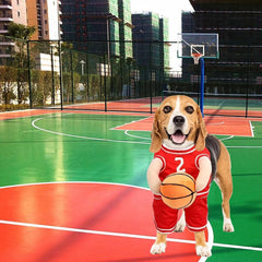 Pet Costumes Dog Basketball Player Costume Halloween Costumes For Dogs Funny Dress Up Sports Outfit Cosplay Clothes For Small Dog Costume