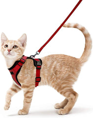 Pet Cat Vest Type Adjustable Anti Breakaway Leash