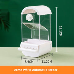 Parrot Automatic Pet Feeder Food Container