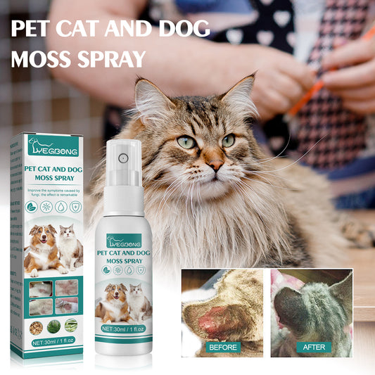 Pet Skin Medicine Spray For Cats And Dogs Universal Mite Skin Itchy Red Hair Itching