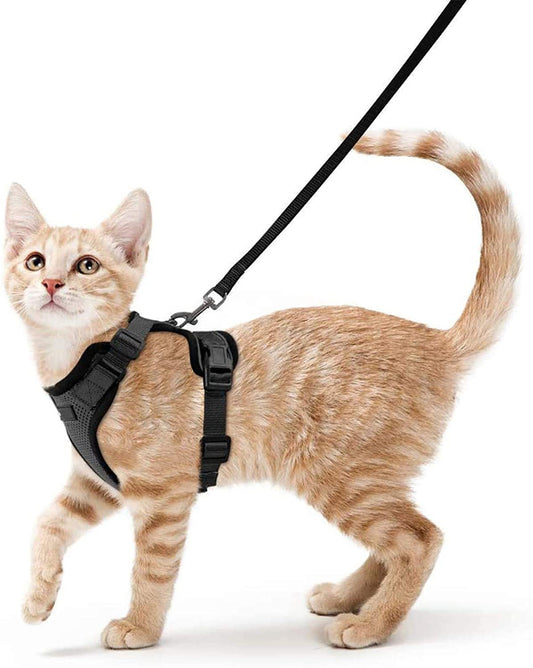 Pet Cat Vest Type Adjustable Anti Breakaway Leash