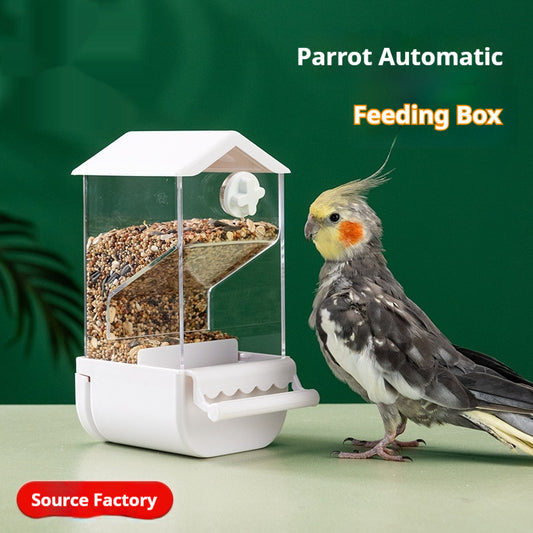 Parrot Automatic Pet Feeder Food Container