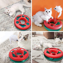 Cat Toys Cat Toys For Indoor Cats Interactive Kitten Toys Roller Tracks With Catnip Spring Pet Toy With Exercise Balls Teaser Mouse