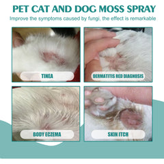 Pet Skin Medicine Spray For Cats And Dogs Universal Mite Skin Itchy Red Hair Itching