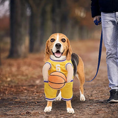 Pet Costumes Dog Basketball Player Costume Halloween Costumes For Dogs Funny Dress Up Sports Outfit Cosplay Clothes For Small Dog Costume