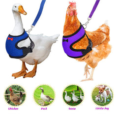 Pet Duck Chicken Poultry Chicken Clothes Chicken Vest Hen Belt Pet Harness Matching Collars Bow Poultry Supplies