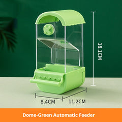 Parrot Automatic Pet Feeder Food Container