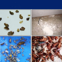 Insecticide Flea Powder Household Bed Go Up To Kill Tide Insect Medicine Indoor Bedbugs